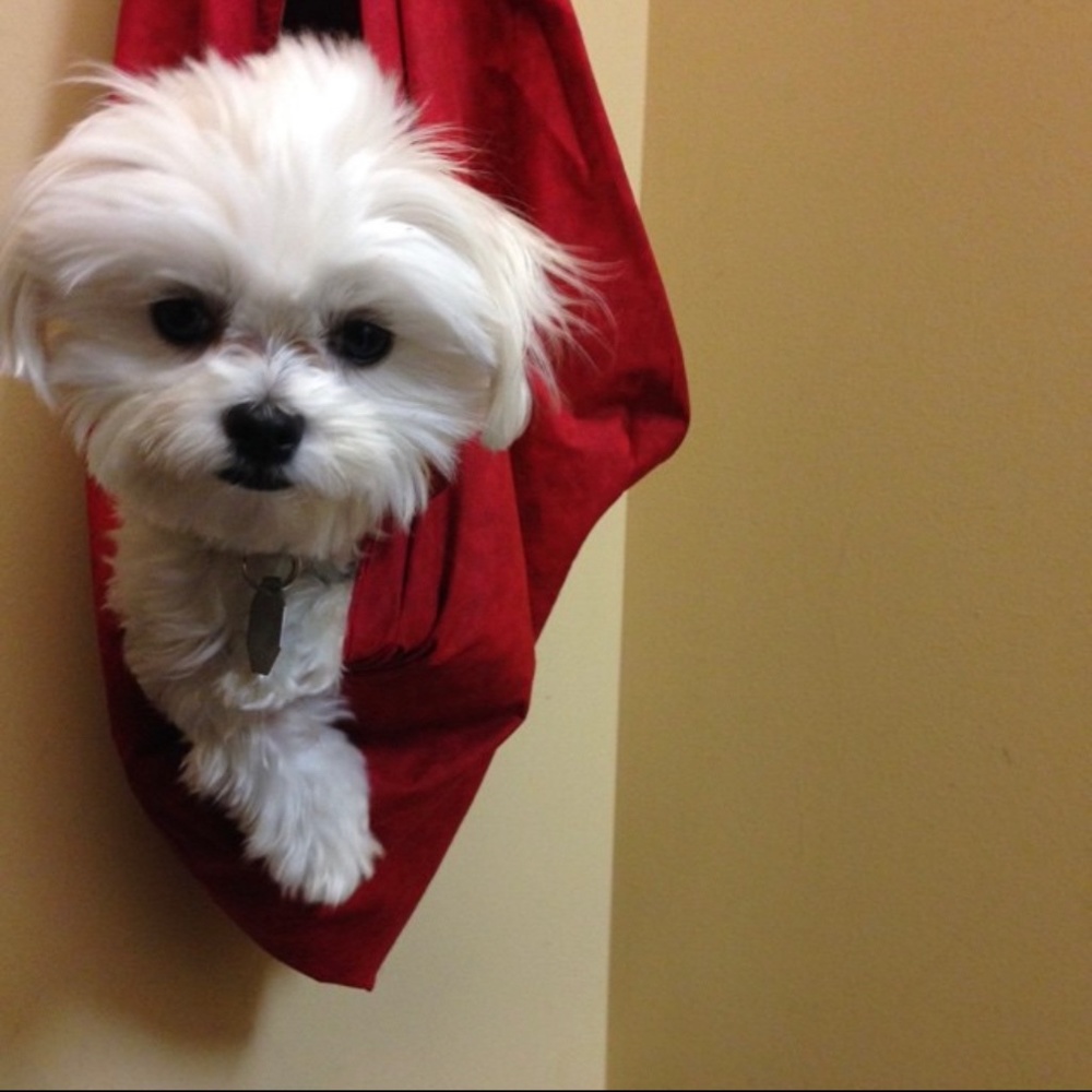 Custom carrying bag .. pocket for treats dog/cat